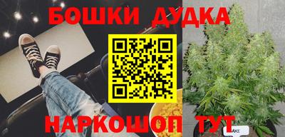 mdpv Новозыбков