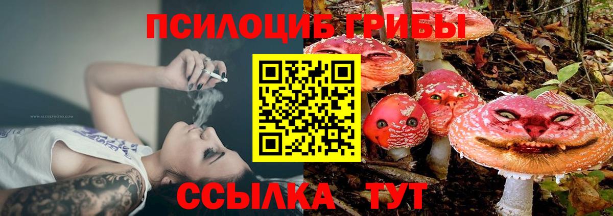 Псилоцибиновые грибы GOLDEN TEACHER  Вход с VPN  Свободный 